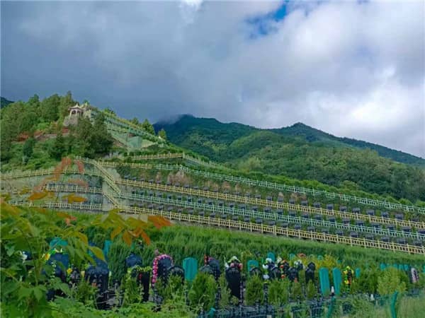 九龍山骨灰公墓優(yōu)缺點分析