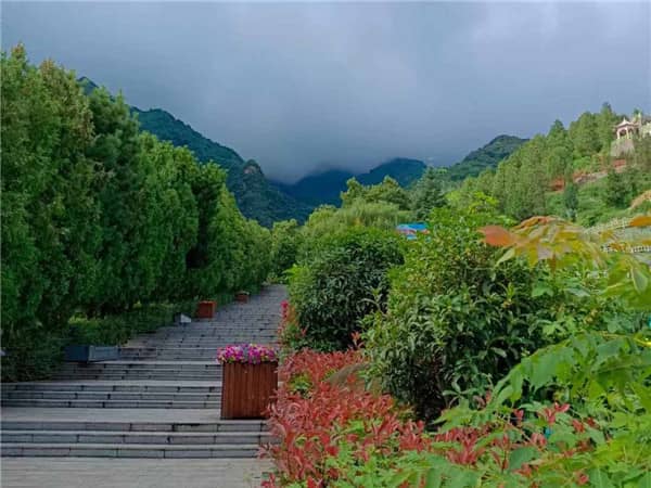 陜西省西安市九龍山墓園，陜西省西安市九龍山墓園的詳細介紹