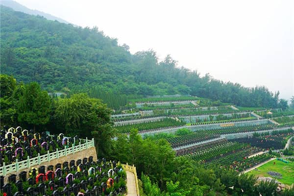 西安市戶縣九龍山墓園預約，安心便捷