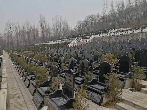 九龍山公墓是否適合長期保存逝者的遺物？