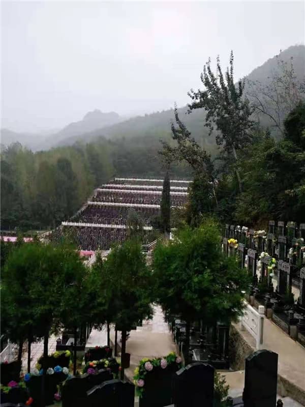 西安九龍山公墓的環(huán)境和綠化情況如何？