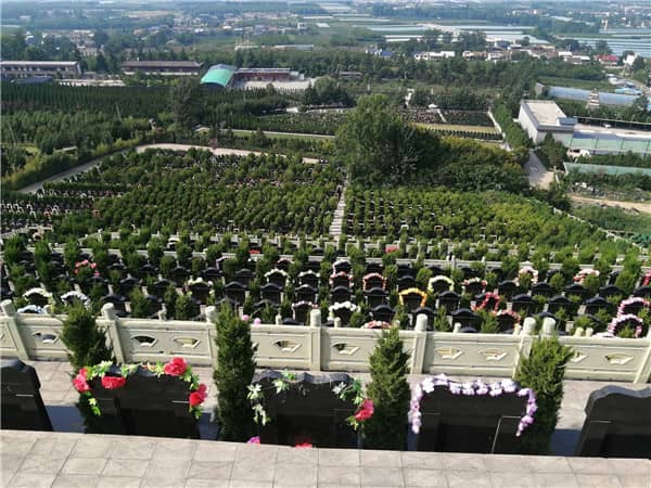 九龍山公墓的環(huán)境特點對其作為墓園的功能有何積極影響？