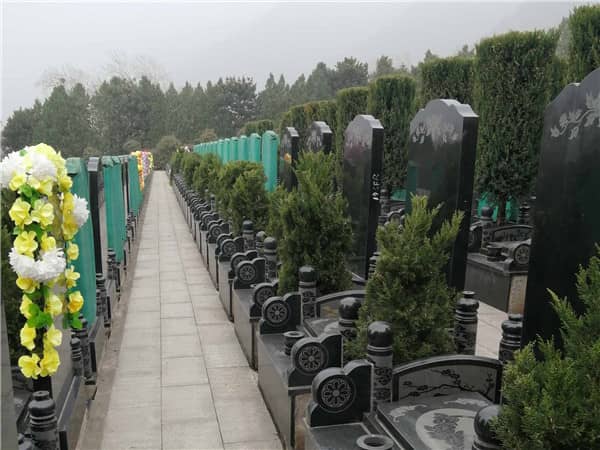 西安九龍山公墓的價格是否會根據(jù)市場情況有所變動？