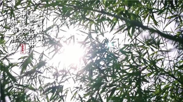 西安霸陵墓園位于西安市的哪個區(qū)域，其周邊環(huán)境如何？
