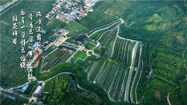 西安霸陵墓園新區(qū)大力推廣草坪葬、樹葬、格位葬、花壇葬等生態(tài)葬法