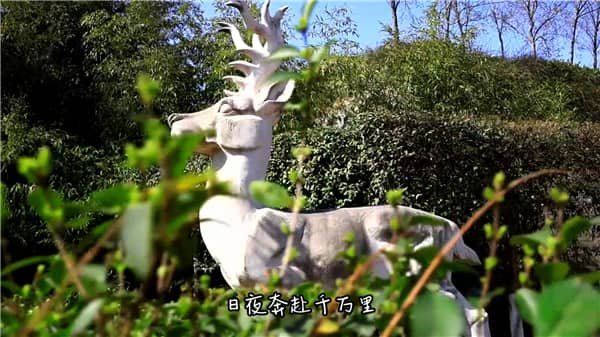 西安霸陵墓園觀音像，一鍵選墓