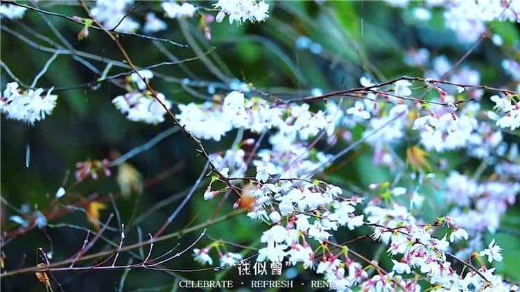 霸陵墓園新區(qū)有哪些特色？