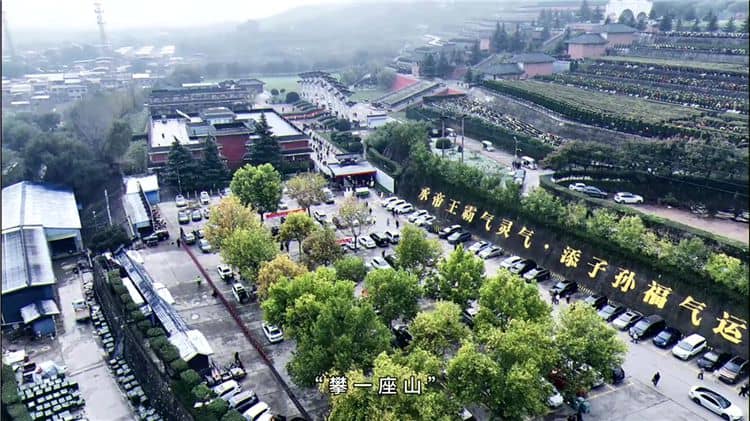 西安霸陵墓園位于哪里，其地理位置有何特殊之處？