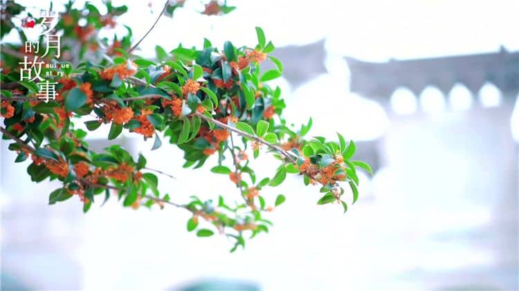 西安霸陵公墓的環(huán)境特點有哪些，為何被認為是西安環(huán)境最好的墓地之一？