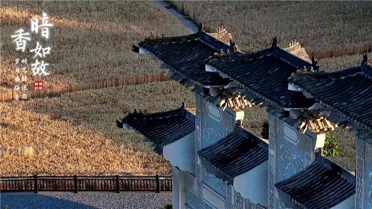 霸陵公墓提供了哪些類型的墓地，以及它們的價格是否親民？