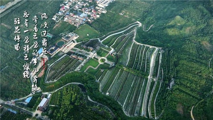 西安霸陵墓園咨詢電話，獲取西安霸陵墓園最新信息的官方渠道