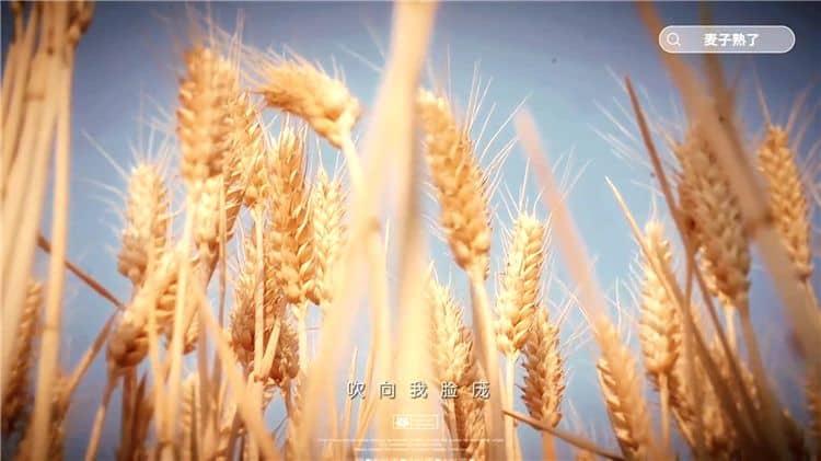 西安霸陵墓園有哪些顯著的特點？