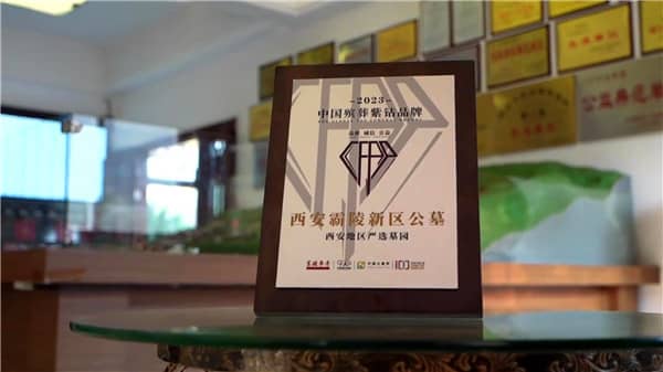 西安霸陵清明掃墓？西安霸陵墓園辦公室電話？