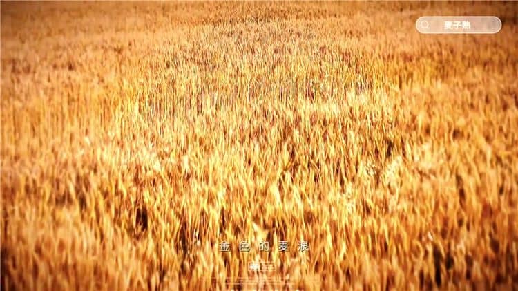 選擇西安霸陵陵園的樹(shù)葬服務(wù)有哪些好處？