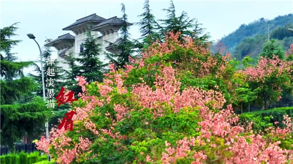 西安霸陵墓園在哪預(yù)約，選購(gòu)攻略全面解讀！