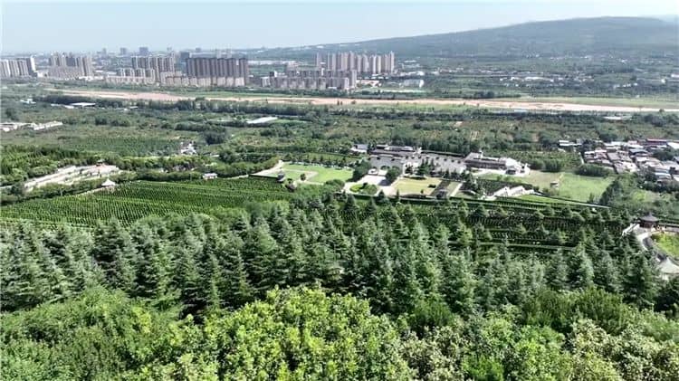 西安霸陵墓園的整體布局有何特色？