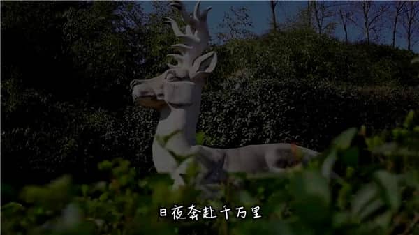 西安霸陵墓園新區(qū)聯系與價格概覽：便捷咨詢，透明服務