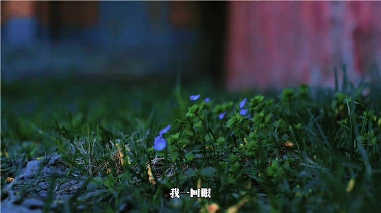 西安霸陵陵園的風(fēng)水特點是什么？