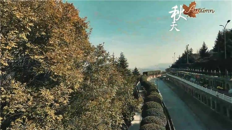 西安霸陵墓園新區(qū)具體位于哪個(gè)區(qū)域和街道，其周邊有哪些主要的交通路線？