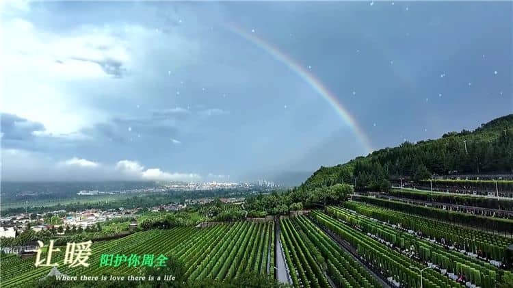 西安霸陵墓園新區(qū)的文化氛圍有何特點？