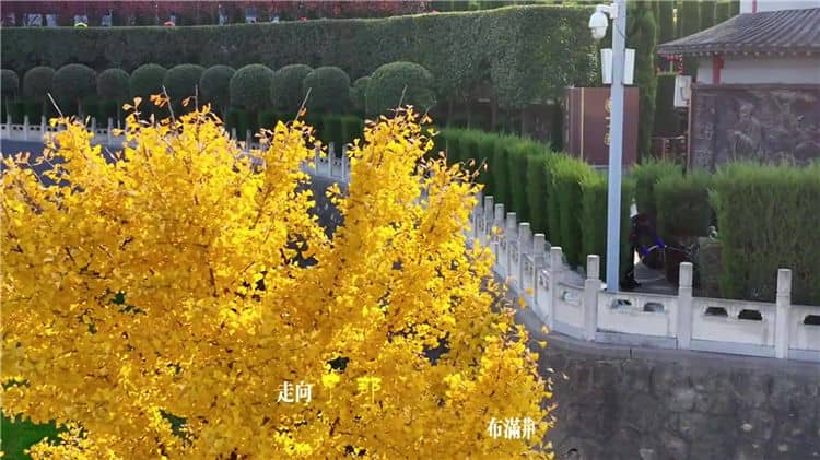 西安霸陵墓園未來有哪些發(fā)展規(guī)劃和愿景？
