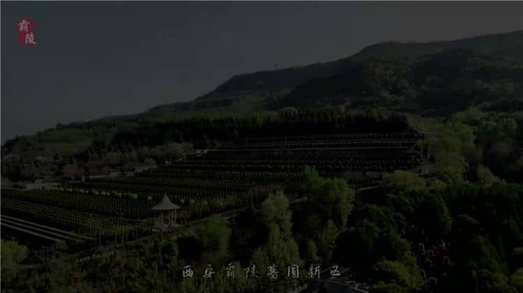 西安霸陵墓園不僅具有深厚的歷史背景和文化底蘊(yùn)，還提供多種優(yōu)質(zhì)的服務(wù)項(xiàng)目和環(huán)保舉措