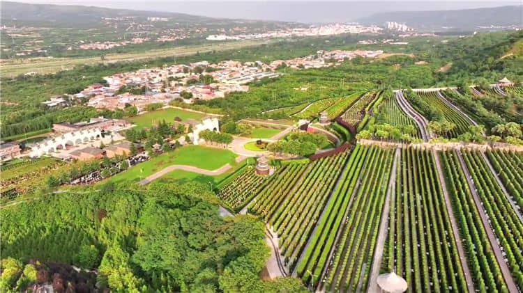 西安霸陵墓園思親園特色與服務(wù)解析