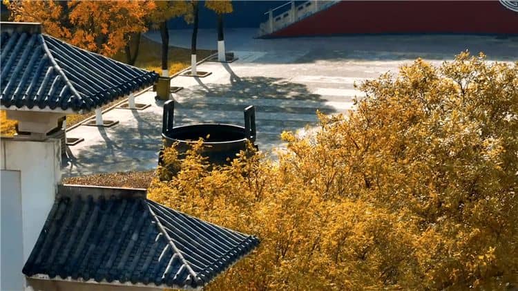 西安霸陵陵園新區(qū)如何體現(xiàn)對(duì)逝者的尊崇和敬意？