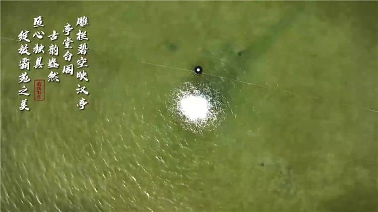 西安霸陵墓園新區(qū)的綠化情況如何？