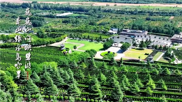 西安霸陵墓園新區(qū)有哪些在售的墓型？