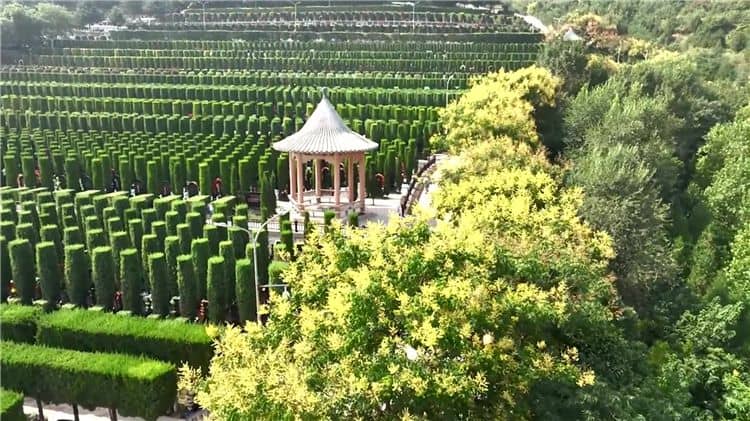 西安霸陵墓園服務(wù)評價, 西安霸陵墓園墓型介紹,