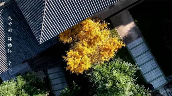 西安霸陵墓園新區(qū)上班時(shí)間