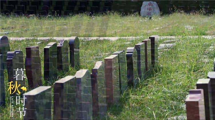 西安灞橋區(qū)霸陵陵園提供了哪些生態(tài)安葬方式？
