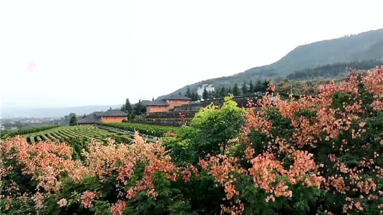 西安霸陵墓園新區(qū)在社會(huì)公益性方面有哪些貢獻(xiàn)？