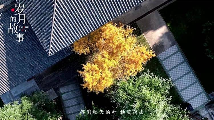 西安霸陵墓園的環(huán)境與服務(wù)？