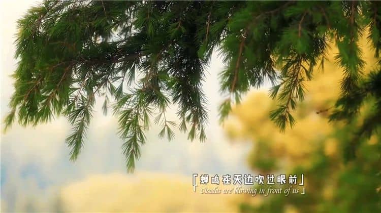 西安霸陵陵園樹葬壁葬草坪葬哪個(gè)好且價(jià)格便宜？