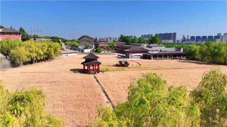 西安霸陵墓園新區(qū)地址位置、交通路線、免費班車服務(wù)、安葬方式