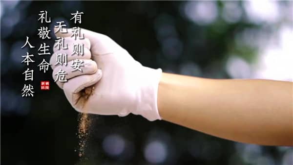 西安霸陵墓園新區(qū)（客戶服務(wù)）