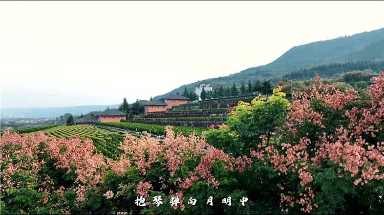 關(guān)于環(huán)保性，霸陵墓園如何做到減少對環(huán)境的影響？