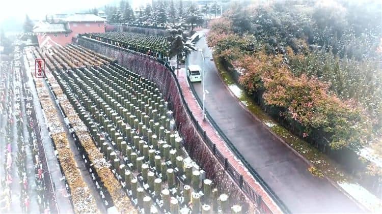 西安霸陵公墓提供哪些交通服務(wù)來方便家屬和訪客？