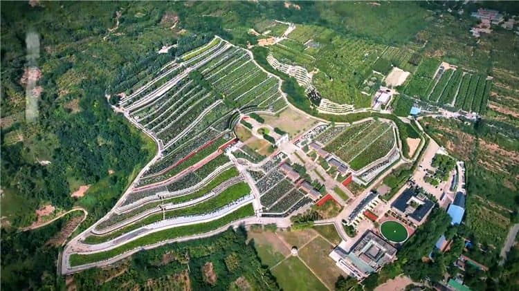 請(qǐng)問西安霸陵墓園的歷史背景是什么？
