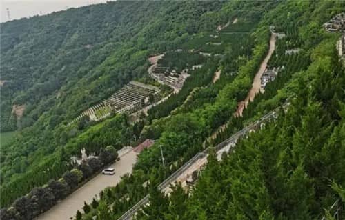 無家墳的具體位置與文化背景