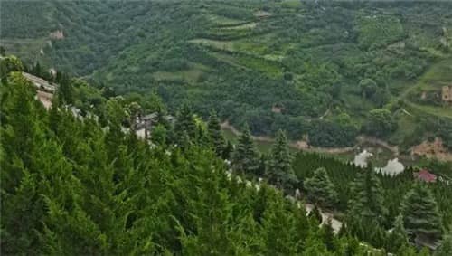 西安高橋墓園的墓碑價格是如何確定的，有哪些因素會影響墓碑的最終價格？