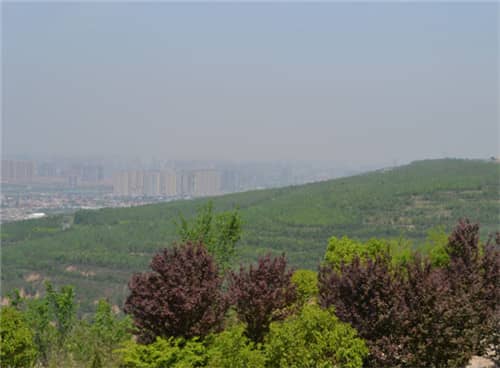 高橋墓園提供了哪些安葬方式，并簡述其特點(diǎn)？