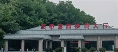 和朋友一起去掃墓是否合適的禮儀解析