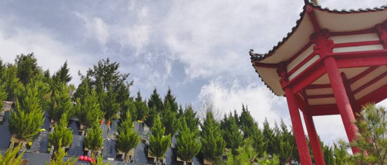如果我沒有提前準(zhǔn)備禮物，參加西安白鹿陵園的葬禮時(shí)應(yīng)該如何補(bǔ)救？