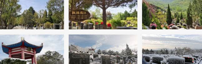 如何預(yù)約參觀白鹿原墓園并了解墓地信息？