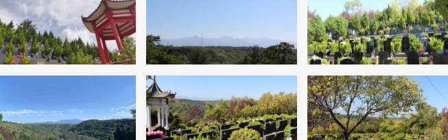 如果喪屬無法親自前往西安白鹿原公墓祭掃，他們應該如何聯(lián)系公墓方以獲取代客祭掃服務？