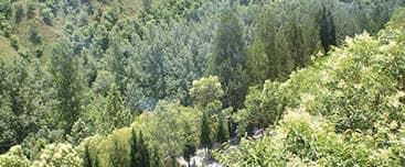 鳳凰嶺公墓的環(huán)境與風(fēng)水特點(diǎn)介紹？