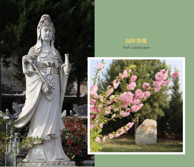 西安公墓網(wǎng)上預(yù)約